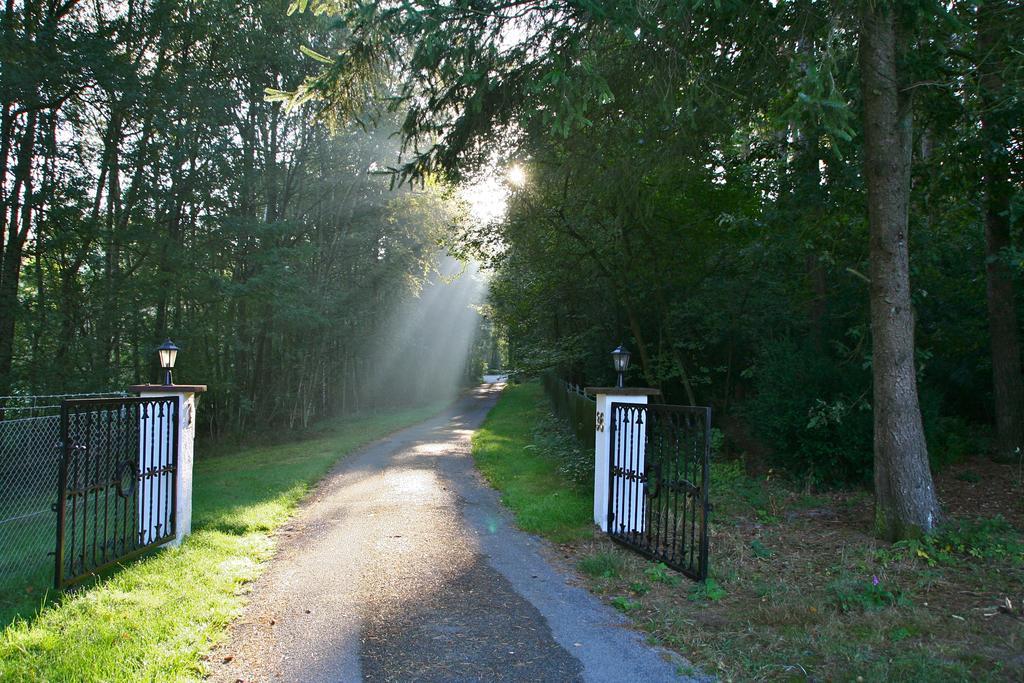 Ferienhaus Huus Ton Witten Barg Undeloh Exteriér fotografie