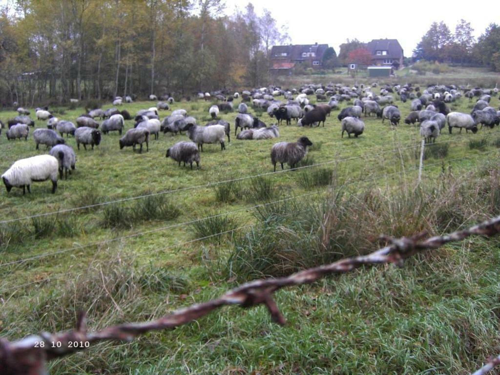 Ferienhaus Huus Ton Witten Barg Undeloh Exteriér fotografie